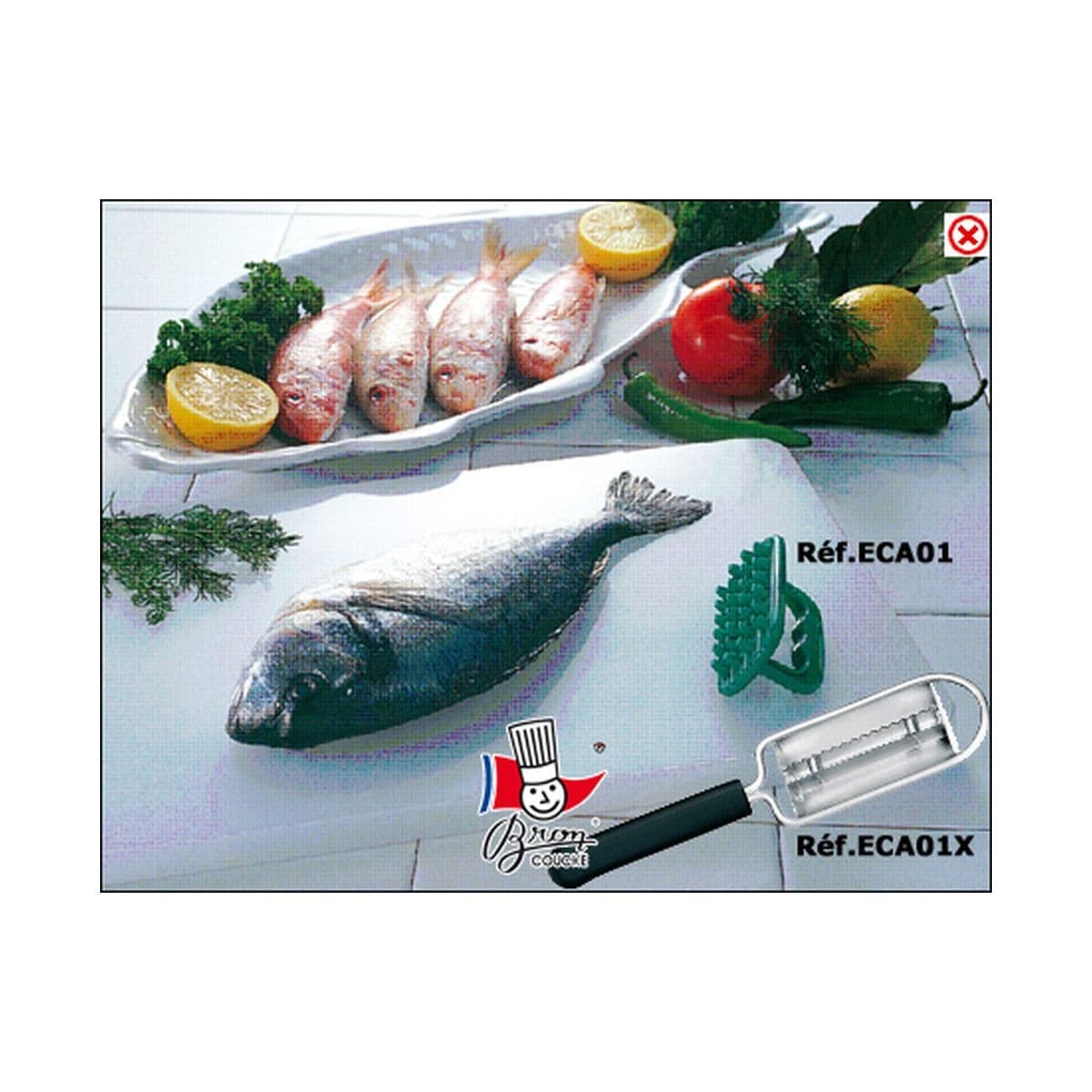 DESCAMADOR DE PESCADO PLASTICO
