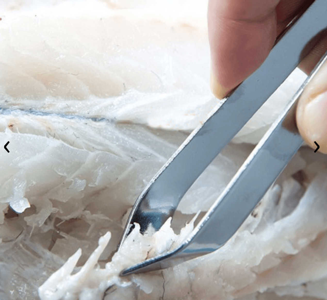 Pinza pescado