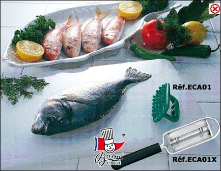 DESCAMADOR DE PESCADO PLASTICO